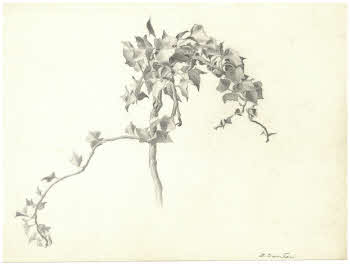 Visualizza l'immagine "FD D 2754"